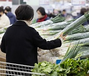 전주 대비 가격 오른 대파