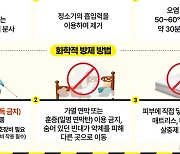 원주도 빈대…기업체 외국인 근로자 기숙사서 첫 발견