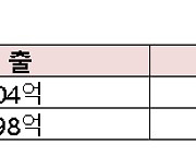 티웨이항공, 올해 매출 1조 달성! 중장거리 공략, 과감한 투자 주효...LCC 2위 발돋움!