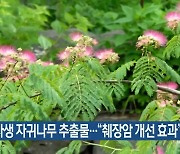 제주 자생 자귀나무 추출물…“췌장암 개선 효과”