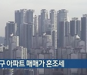 대구 아파트 매매가 혼조세