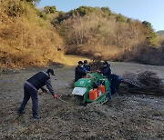 들깻대 태우지 말고 부숴버려요