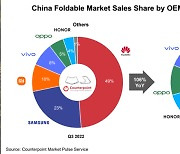 경쟁 치열해지는 중국 폴더블폰 시장…삼성전자 2위