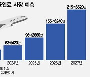 28조 시장 '그림의 떡'이었는데…정유사, '미래 항공유' 날개 편다