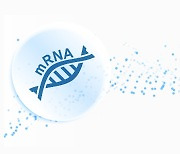 mRNA 백신 개발 앞서가는 美·日… 한국은 걸음마