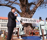 [함양소식]함양군 학사루 느티나무 당산제 개최 등