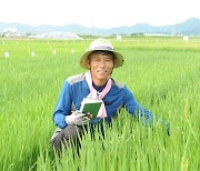 전남도 개발 '새청무' 품종 인정…고품질쌀 대회 석권