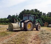 나주시, 대규모 '조사료 전문단지' 조성…축산업 경쟁력 향상