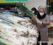 생육 부진 영향에 상승한 대파 가격