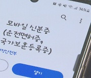 이번엔 모바일 신분증 '먹통'…서버 점검 중 장애 발생