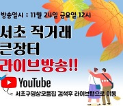 서초구 직거래장터서 라이브커머스…내년 확대 방안 모색