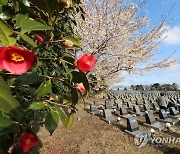 제주4·3과 인천5·3민주항쟁 역사·평화교육 교류 본격화