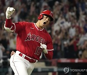 MLB 오타니, 단기 계약하면 역대 연봉 최고액 '떼어놓은 당상'