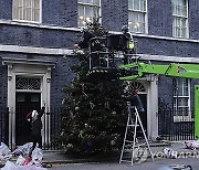 Britain Christmas Tree