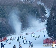 "11월의 겨울 실감나요"…개장 첫 주말 낮 용평스키장에 3200명 몰려