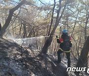 지진 발생한 충남 예산서 산불…56분만에 진화