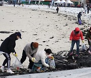 제주서 고향사랑기부금 활용 '남방큰돌고래 보호 위한 플로깅'