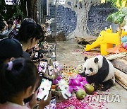 CHINA-HAINAN-HAIKOU-GIANT PANDA (CN)