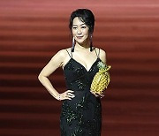 Taiwan Golden Horse Awards