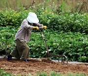 내가 죽느냐, 너희가 죽느냐 [삶과 문화]