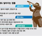 제2의 파두 막자..IPO 특례상장사, 꼼꼼해진 심사에 '벌벌'