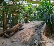 POLAND ANIMALS ZOOLOGICAL GARDEN