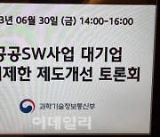 공공SW 대기업 문턱 낮추는 정부…업계 "예산부터 늘려야"