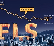 [사설]“홍콩ELS 수조 원 손실”… 판매 전 위험성 과연 제대로 설명했나