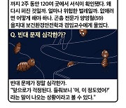 [세컷칼럼] “빈대, 국가가 감염병 관리 수준으로 대응해야”