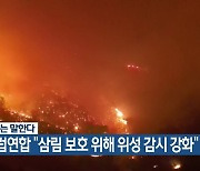 [기후는 말한다] 유럽연합 “삼림 보호 위해 위성 감시 강화”