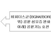 비피도 “비피더스균 섭취로 콩팥병 급성→만성 진행 억제”