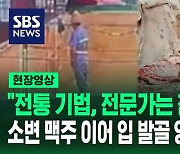 [영상] 양갈비 뼈를 입으로 발라내는 게 수십 년 된 전통?…중국, 칭다오 맥주 이어 또 '위생 논란'