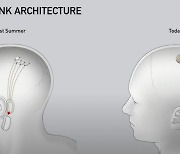 머스크의 뉴럴링크, 논란에도 신규 투자 유치