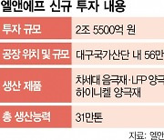 엘앤에프, 대구에 2.6조 투자···中과 장기전서 우위 점하기 위해 업황 악화 불구 대규모 투자