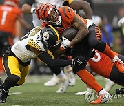 APTOPIX Steelers Bengals Football