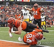 APTOPIX Steelers Bengals Football