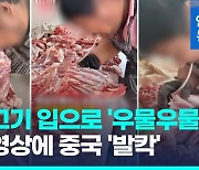 [영상] 생 양고기를 입으로 '우물우물'…'입 발골' 영상에 중국 '발칵'