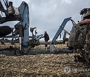 Russia Ukraine War Grain