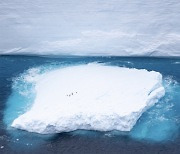 ‘서울 면적 6.5배’… 이동 중인 초거대 빙산, 어디로?