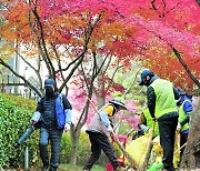 [포토 카페] 낙엽과의 이별