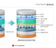 Lotte develops technology to improve lithium-metal battery stability