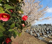 제76주년 제주 4·3희생자 추념식 슬로건 공모…12월28일까지