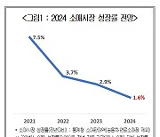 "내년 1.6% 성장 그친다"… 고물가에 갇힌 소매시장