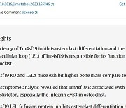메드팩토, 뼈 질환 발생 영향 미치는 핵심 단백질 발견