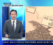 [뉴스초대석] 속도 내는 ‘대구·경북통합신공항’ 건설 사업…추진 경과는?