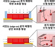 “전자소자 구동속도 100배↑”…인체·식물 고속전자센서 개발 청신호