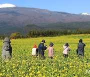 제주 11월 소비자 심리지수 95.2…4개월 만에 반등