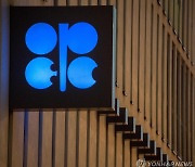 [뉴욕유가] OPEC+ 회의 앞두고 5일 만에 반등