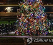 USA CAPITOL CHRISTMAS TREE