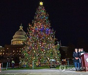 USA CAPITOL CHRISTMAS TREE